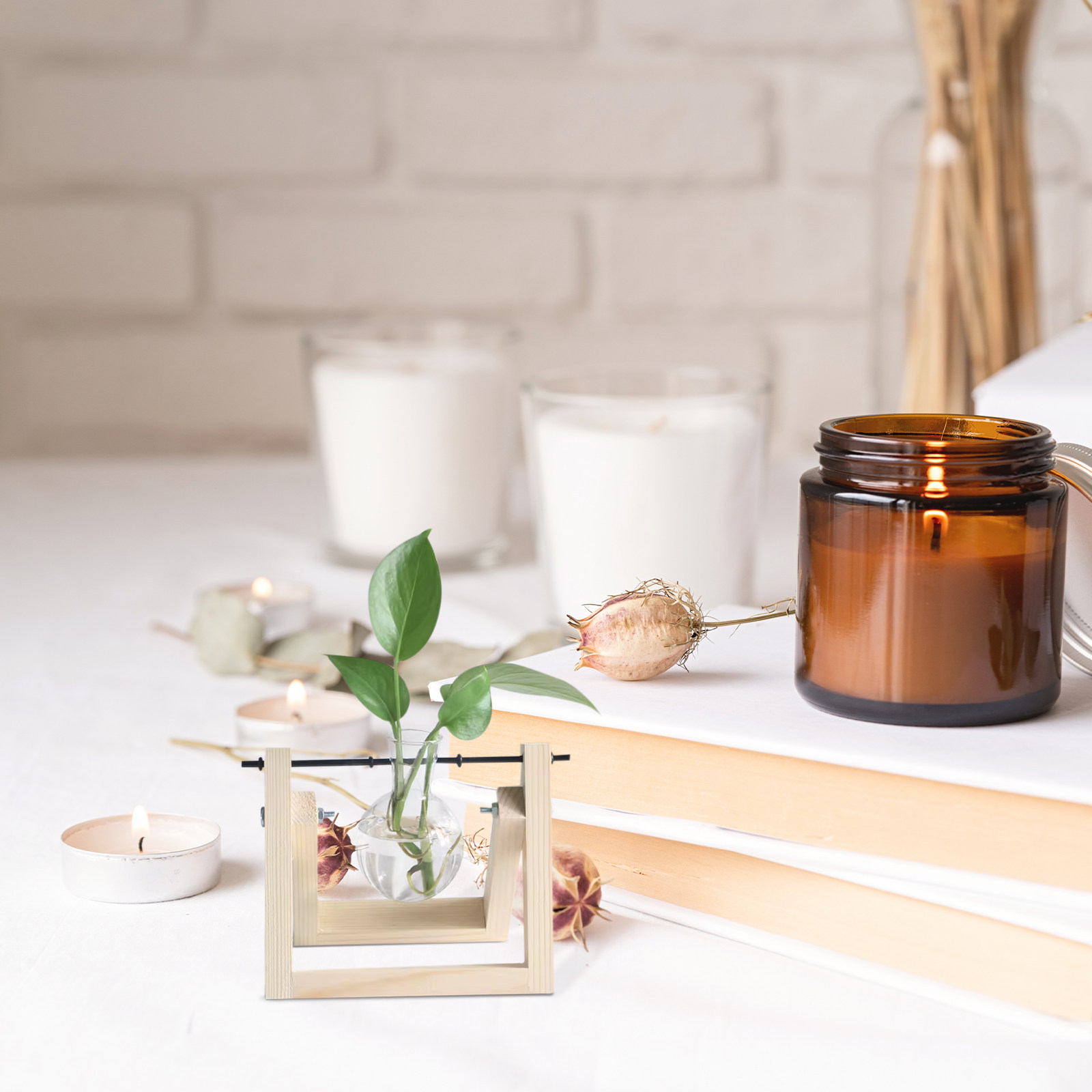 Propagation Station Vase - 10 шт. подставок для гидропонных растений,