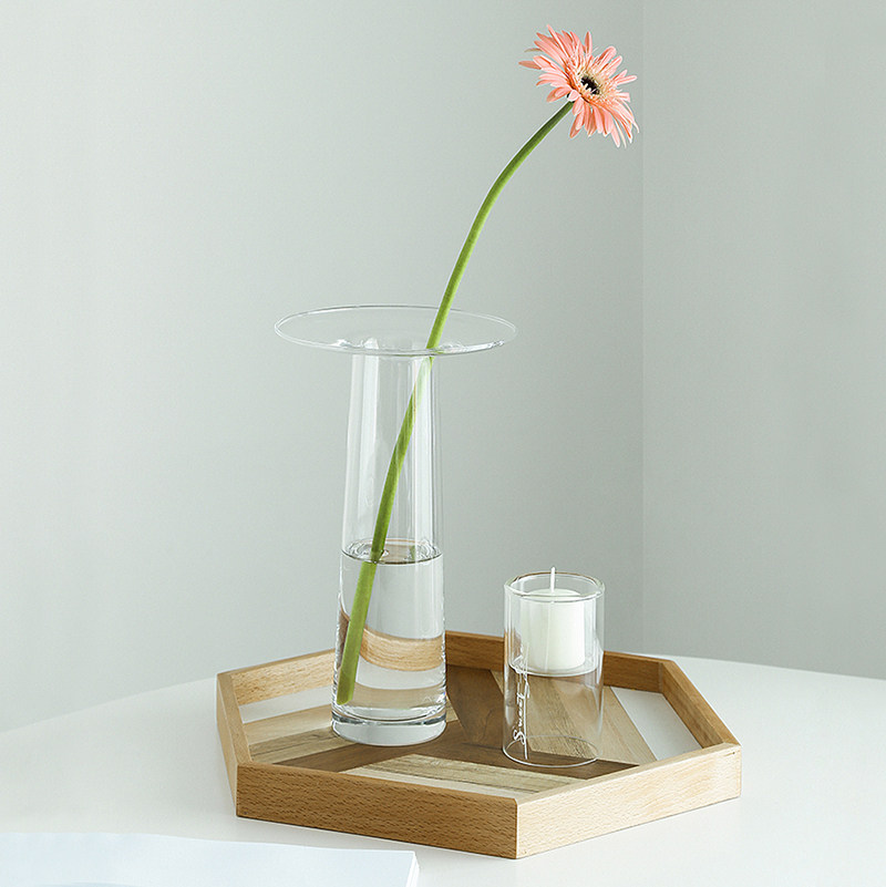 Прозрачная гидропонная ваза LI – обзор и цена Propagation Station Vase