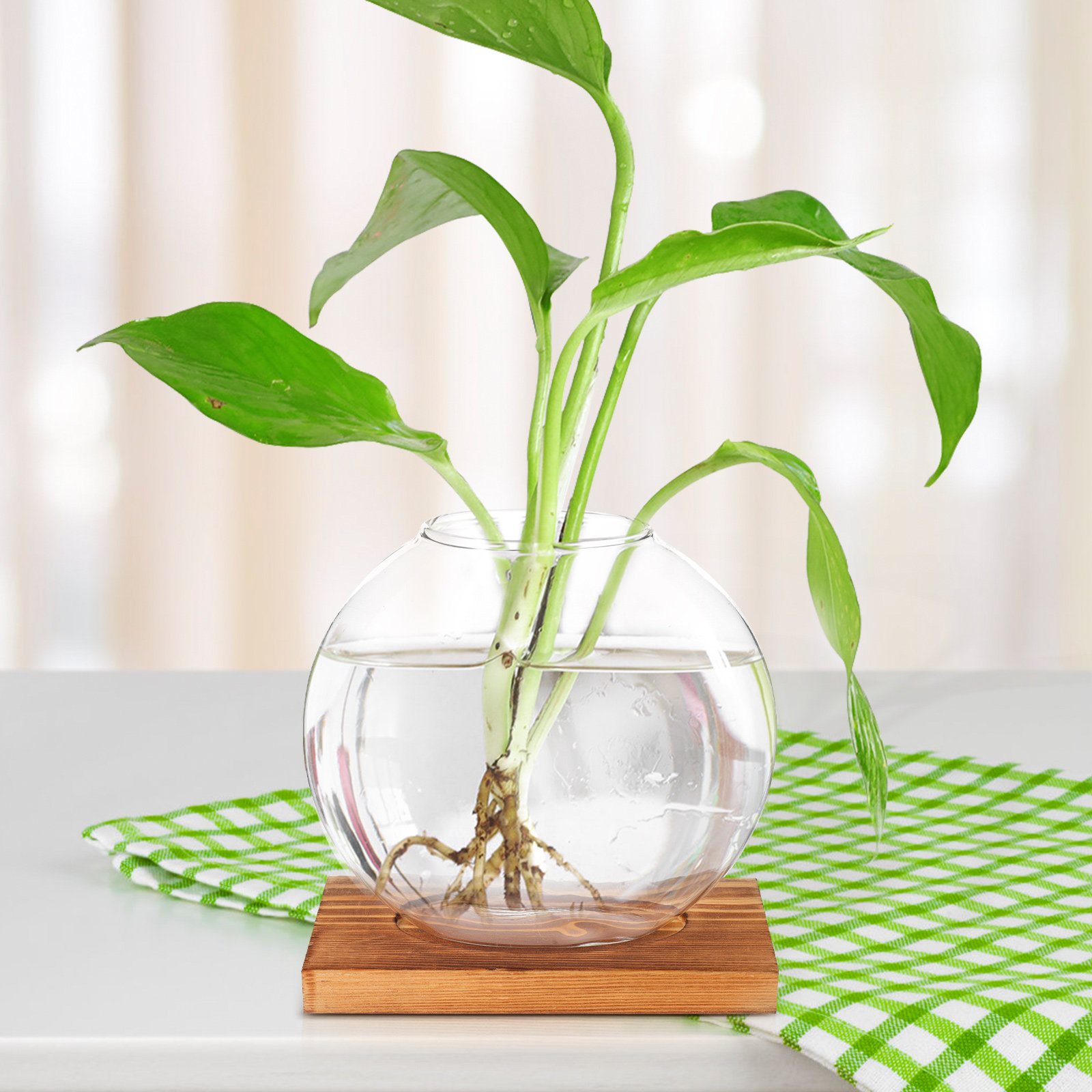 Стеклянная гидропонная ваза на – обзор и цена Propagation Station Vase